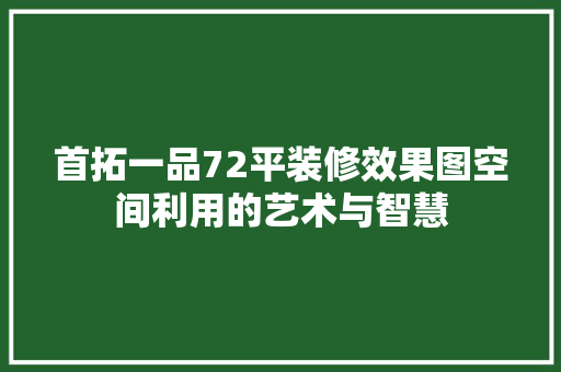 首拓一品72平装修效果图空间利用的艺术与智慧