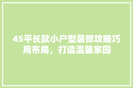 45平长款小户型装修攻略巧用布局，打造温馨家园