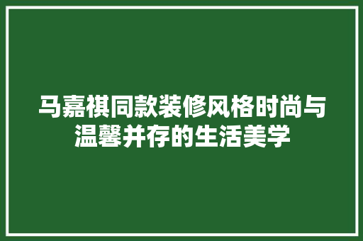 马嘉祺同款装修风格时尚与温馨并存的生活美学