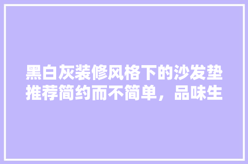 黑白灰装修风格下的沙发垫推荐简约而不简单，品味生活之美