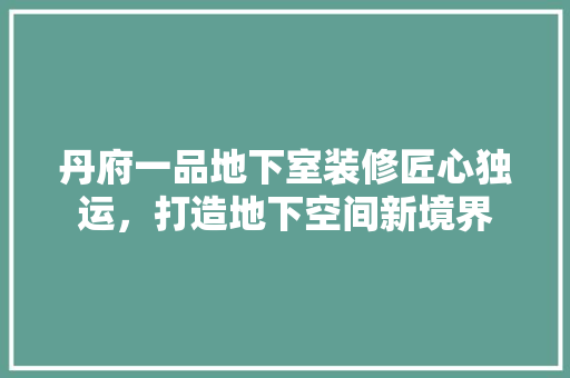 丹府一品地下室装修匠心独运，打造地下空间新境界  第1张
