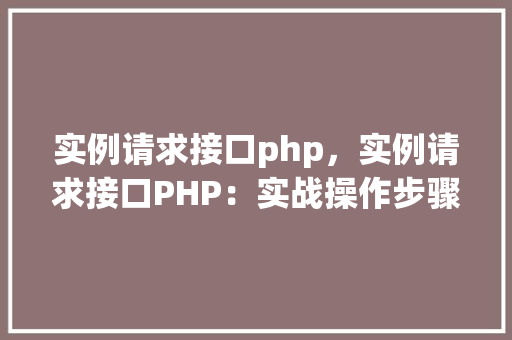 实例请求接口php，实例请求接口PHP：实战操作步骤详解