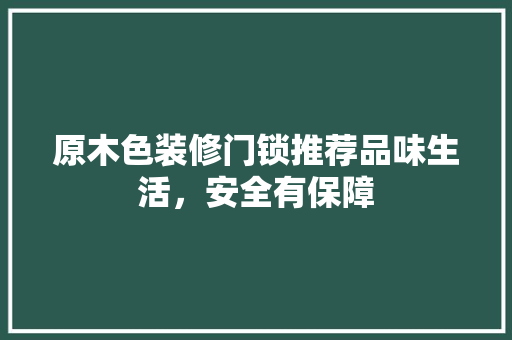 原木色装修门锁推荐品味生活，安全有保障