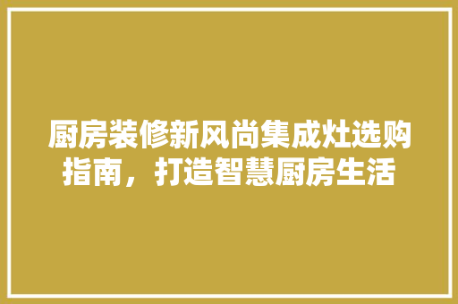厨房装修新风尚集成灶选购指南，打造智慧厨房生活