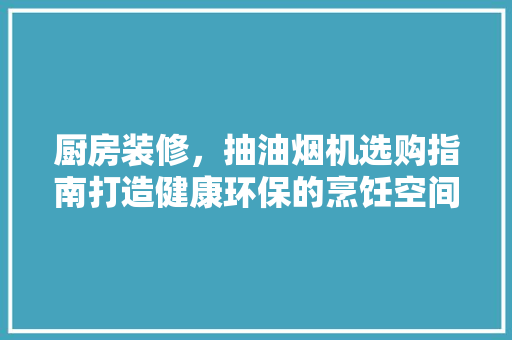 厨房装修，抽油烟机选购指南打造健康环保的烹饪空间