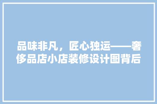品味非凡，匠心独运——奢侈品店小店装修设计图背后的艺术与智慧