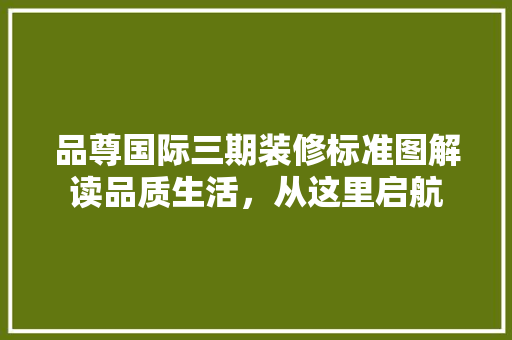 品尊国际三期装修标准图解读品质生活，从这里启航