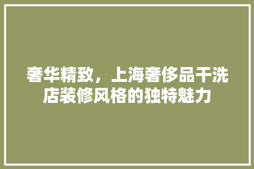 奢华精致，上海奢侈品干洗店装修风格的独特魅力