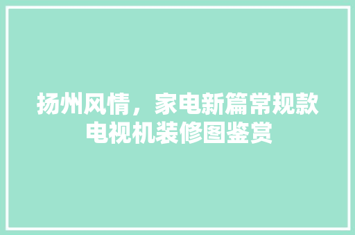 扬州风情，家电新篇常规款电视机装修图鉴赏