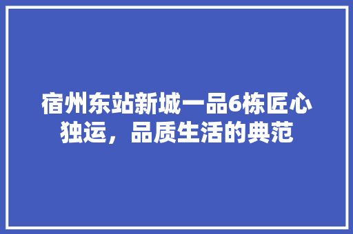 宿州东站新城一品6栋匠心独运，品质生活的典范