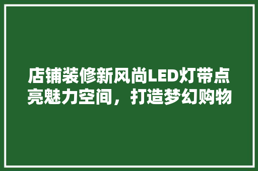 店铺装修新风尚LED灯带点亮魅力空间，打造梦幻购物体验