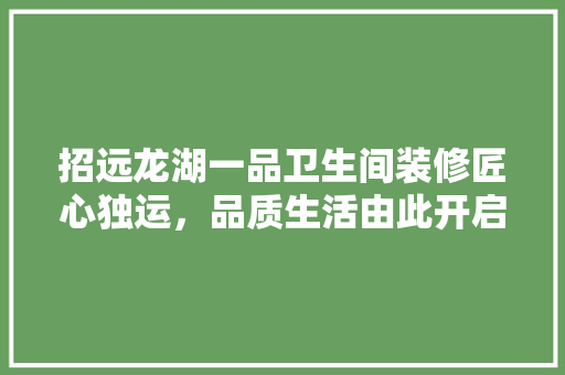 招远龙湖一品卫生间装修匠心独运，品质生活由此开启
