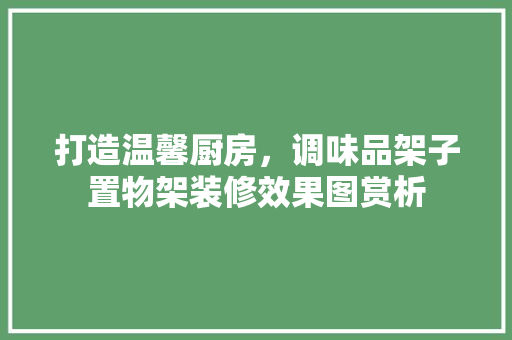 打造温馨厨房，调味品架子置物架装修效果图赏析