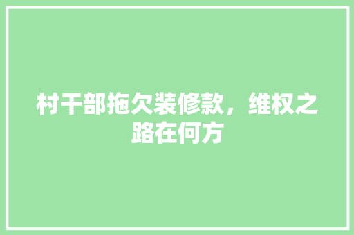 村干部拖欠装修款，维权之路在何方