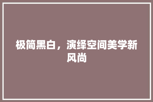 极简黑白，演绎空间美学新风尚