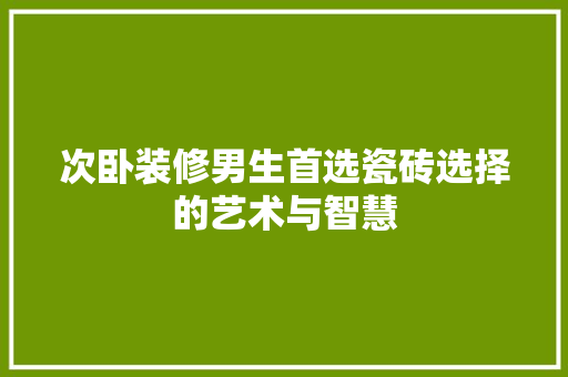 次卧装修男生首选瓷砖选择的艺术与智慧