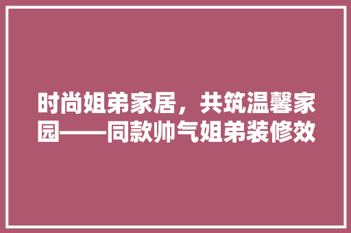 时尚姐弟家居，共筑温馨家园——同款帅气姐弟装修效果图背后的设计理念