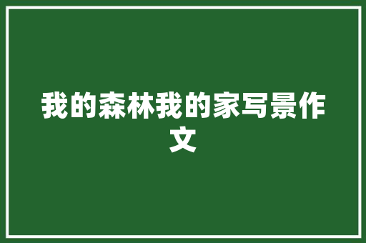 爆款淘宝店铺装修图案设计打造视觉盛宴，提升店铺吸引力