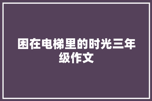汤臣一品装修背后的奢华秘密品味与品质的完美融合