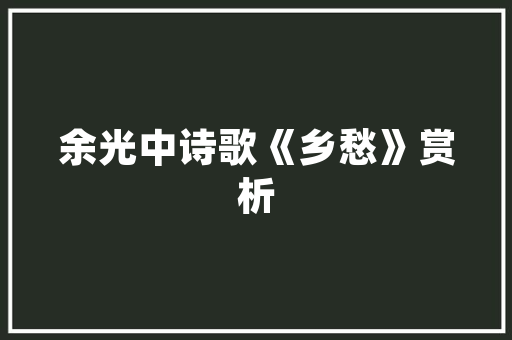 瓷砖清洁神器大选对工具，让你的家焕然一新