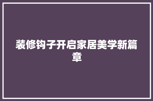 装修钩子开启家居美学新篇章