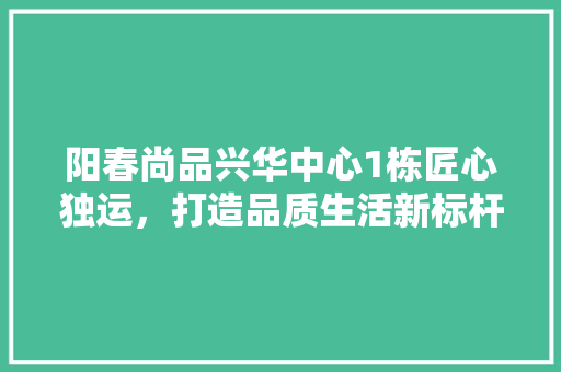 阳春尚品兴华中心1栋匠心独运，打造品质生活新标杆