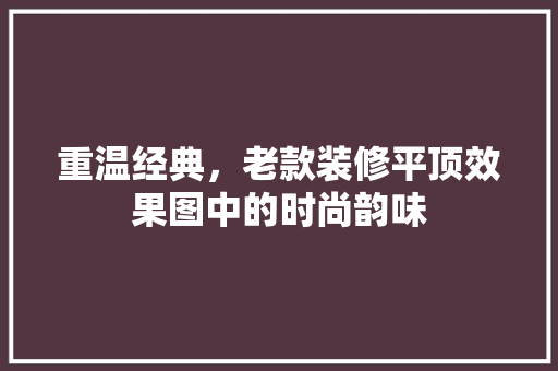 重温经典，老款装修平顶效果图中的时尚韵味