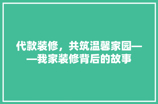 代款装修，共筑温馨家园——我家装修背后的故事  第1张