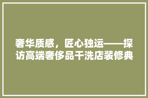 奢华质感，匠心独运——探访高端奢侈品干洗店装修典范