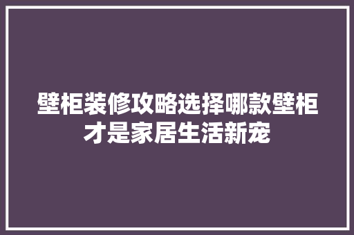 壁柜装修攻略选择哪款壁柜才是家居生活新宠  第1张