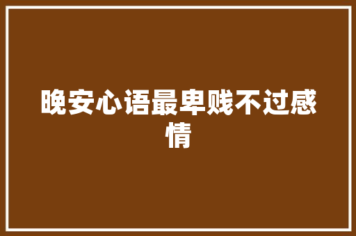 夏季女装套装修身攻略打造精致夏季穿搭，尽显优雅身姿  第1张