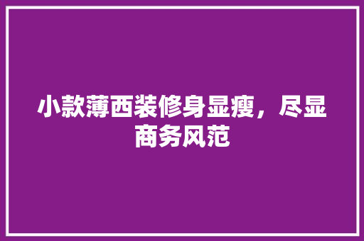 小款薄西装修身显瘦，尽显商务风范  第1张