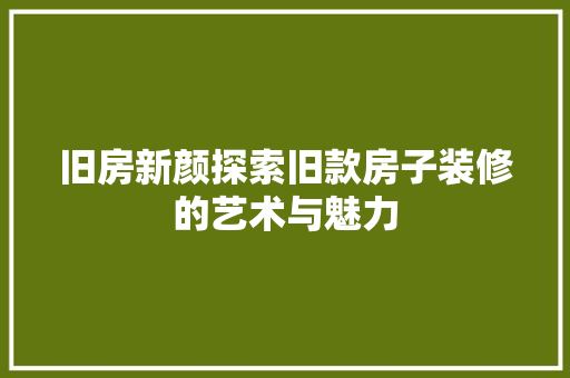 旧房新颜探索旧款房子装修的艺术与魅力