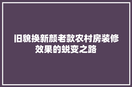 旧貌换新颜老款农村房装修效果的蜕变之路