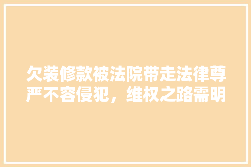 欠装修款被法院带走法律尊严不容侵犯，维权之路需明确