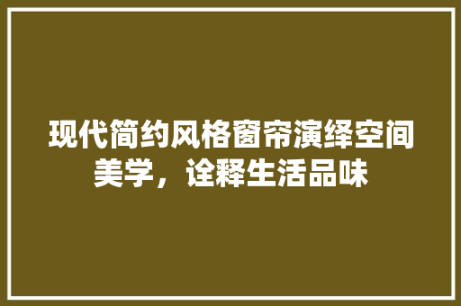 现代简约风格窗帘演绎空间美学，诠释生活品味