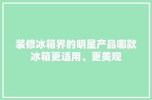 装修冰箱界的明星产品哪款冰箱更适用、更美观