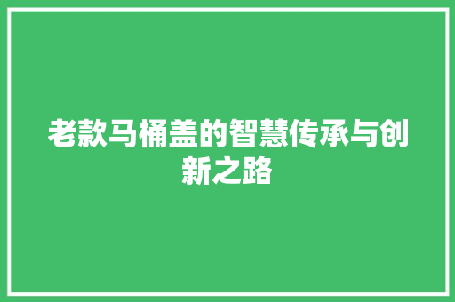 老款马桶盖的智慧传承与创新之路