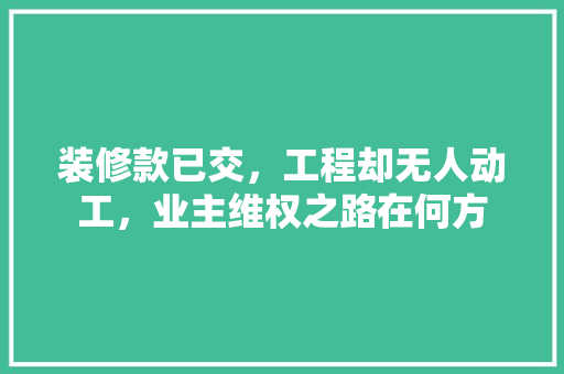 装修款已交，工程却无人动工，业主维权之路在何方