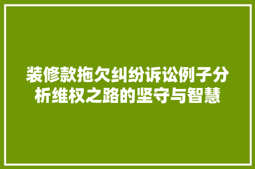 装修款拖欠纠纷诉讼例子分析维权之路的坚守与智慧
