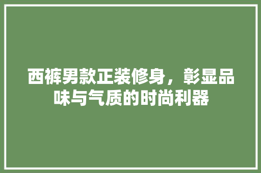 西裤男款正装修身，彰显品味与气质的时尚利器
