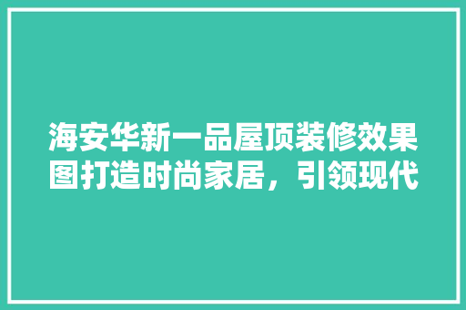 海安华新一品屋顶装修效果图打造时尚家居，引领现代生活潮流