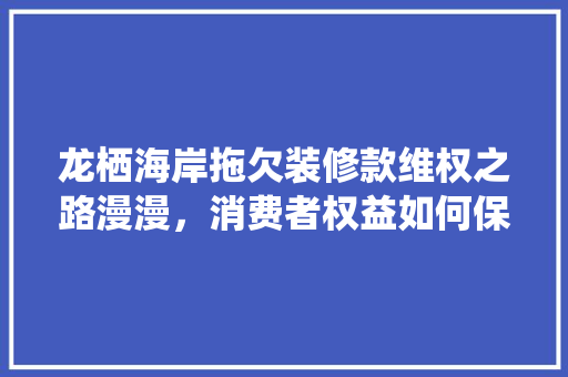 龙栖海岸拖欠装修款维权之路漫漫，消费者权益如何保障