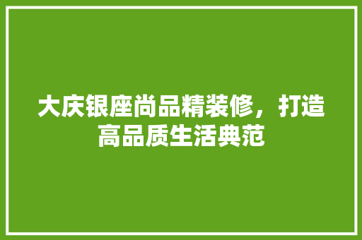 大庆银座尚品精装修，打造高品质生活典范