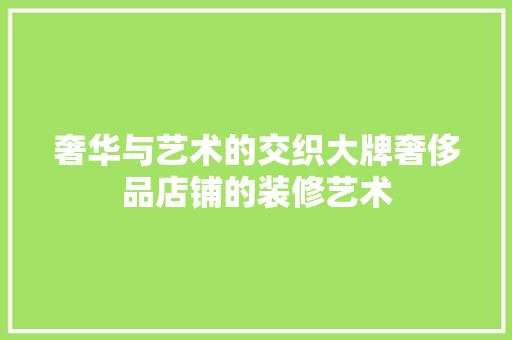 奢华与艺术的交织大牌奢侈品店铺的装修艺术