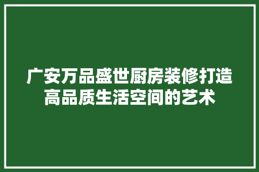 广安万品盛世厨房装修打造高品质生活空间的艺术