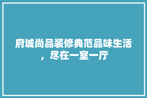 府城尚品装修典范品味生活，尽在一室一厅