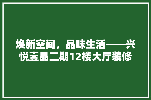 焕新空间，品味生活——兴悦壹品二期12楼大厅装修记