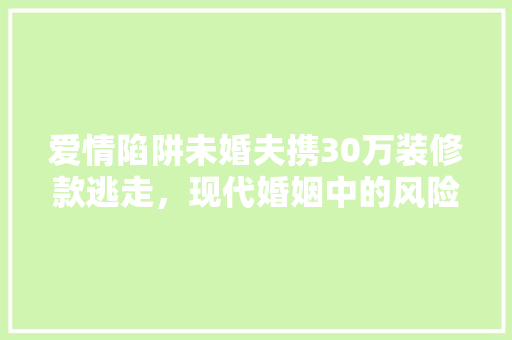 爱情陷阱未婚夫携30万装修款逃走，现代婚姻中的风险与反思