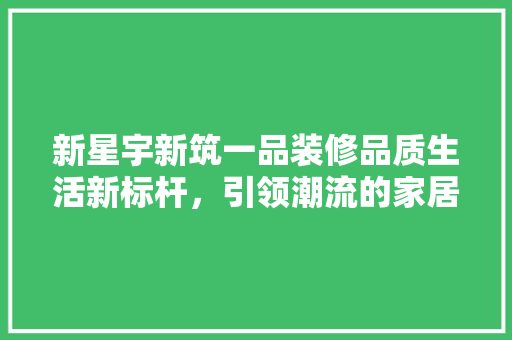 新星宇新筑一品装修品质生活新标杆，引领潮流的家居典范